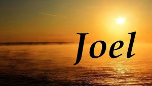 nombre Joel